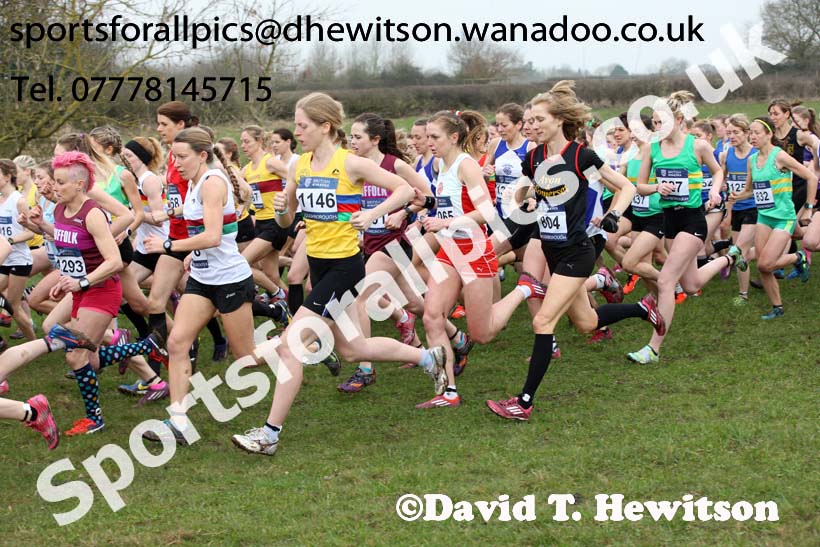 Senior womens Inter Counties Cross Country, Prestwold Hall, Loughborough. Photo: David T. Hewitson/Sports for All Pics